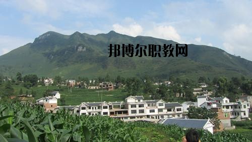 納雍中等職業(yè)學(xué)校地址在哪里