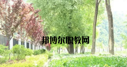 康縣職業(yè)技術(shù)學校2020年招生辦聯(lián)系電話