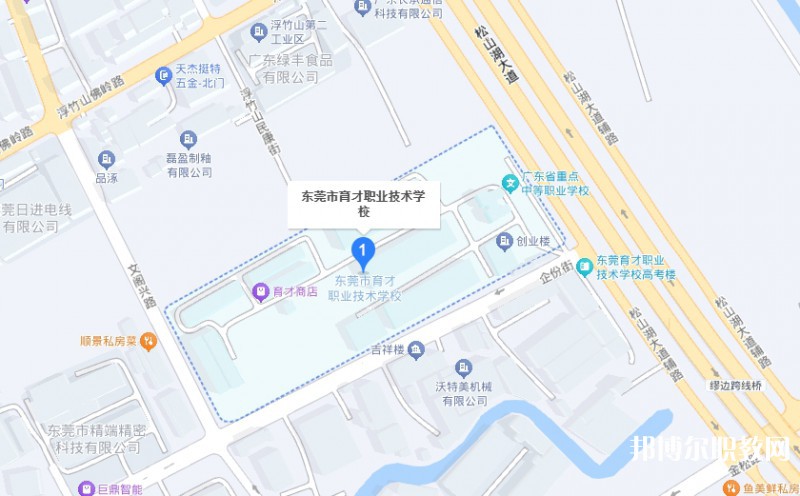 東莞市育才職業(yè)技術學校地址，乘車路線